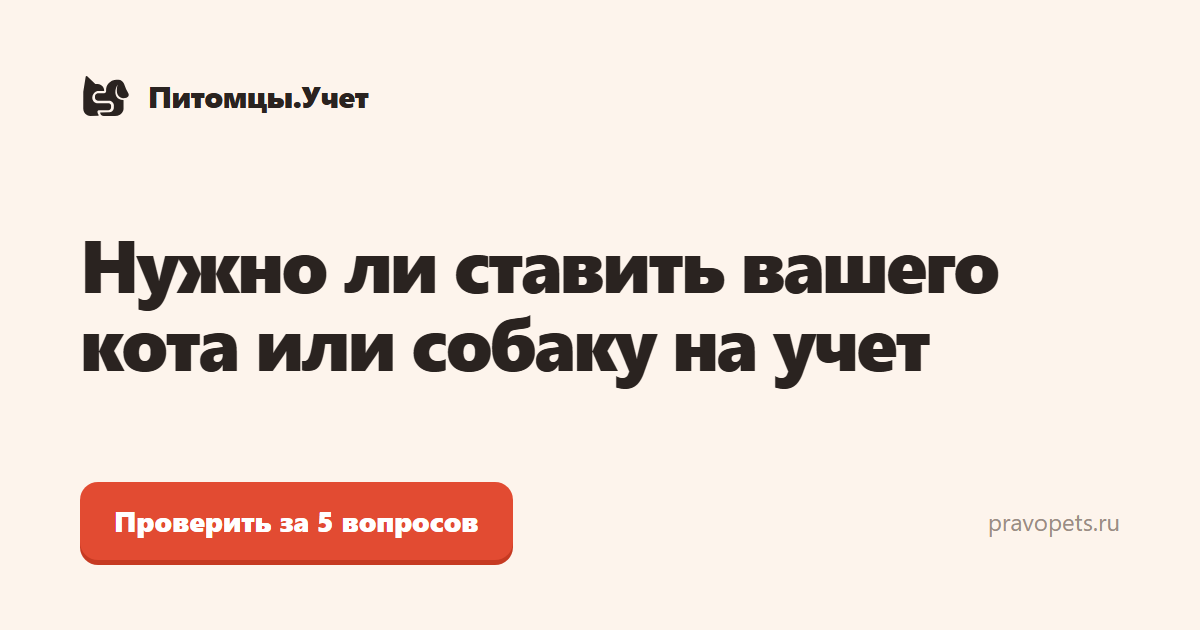 Скриншот Питомцы.Учет